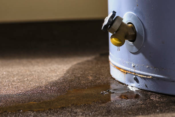 Best Water damage restoration services  in Quincy, CA