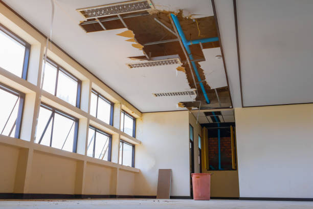 Best Water damage contractors near me  in Quincy, CA