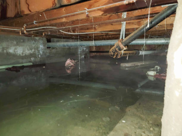 Best Sewage cleanup and water damage restoration  in Quincy, CA