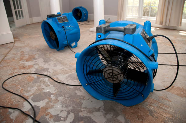 Best Fire Damage Restoration  in Quincy, CA