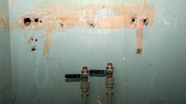 Best Mold removal after water damage  in Quincy, CA