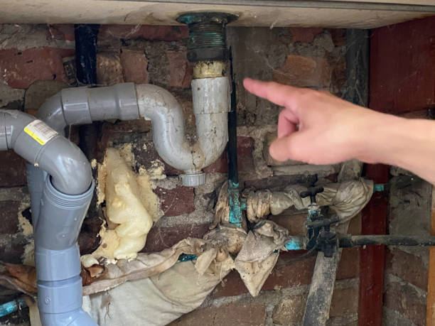 Best Local water damage restoration  in Quincy, CA