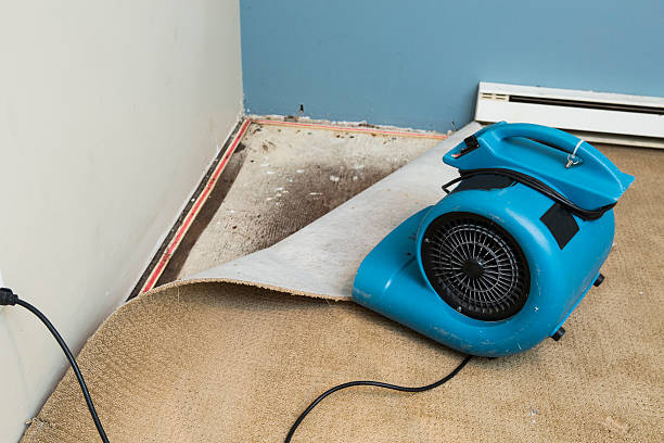 Best 24-hour water damage restoration  in Quincy, CA
